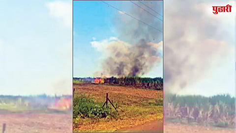 Indapur Sugarcane Fire