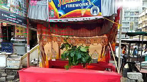Firecracker Shop On Tree