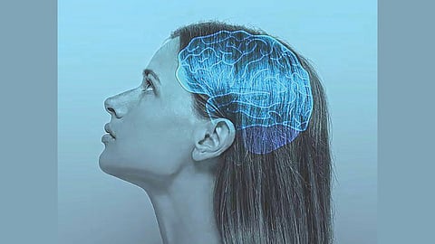 Brain Efficiency Study