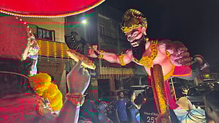 सर्व छायाचित्रेः समीर नार्वेकर