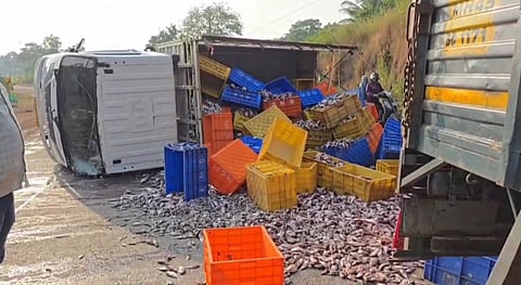 Ratnagiri Accident: गुहागर-चिपळूण मार्गावर मच्छी वाहतूक करणारा टेम्पो उलटला