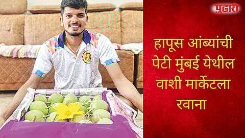 Diwali Festival Devgad Hapus Mango