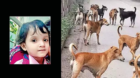 Child dies in dog attack in Jalna