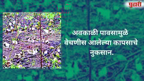 Sambhajinagar Unseasonal Rain