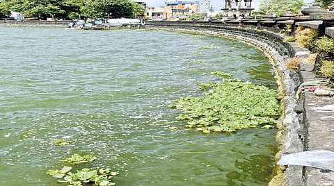 Jalparni-Re-Entry-Rankala-Lake-Conservation-Failure