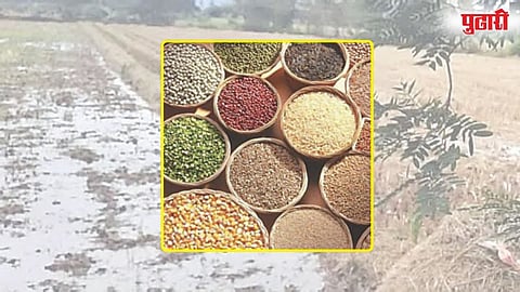 जिल्ह्यातील 8.53 लाख शेतकऱ्यांना प्रत्येकी 10 हजारांची अतिरिक्त मदत