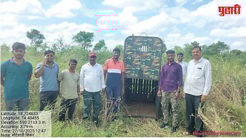 पिंजरा एक, बिबटे अनेक