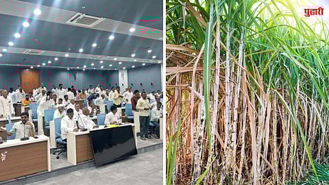 ऊसदर ३५५० रुपये जाहीर करा