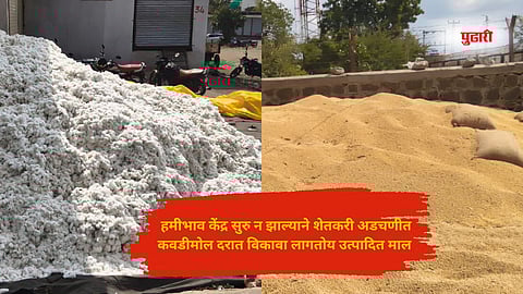 Maharashtra Farmers news