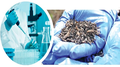 AI in Crime Investigation