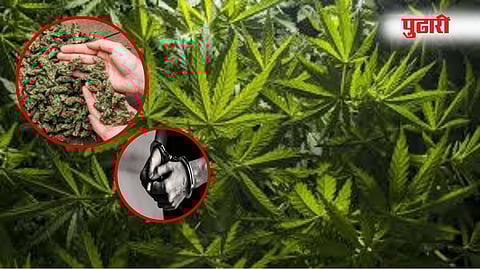 Yavatmal bus stand youths arrested with ganja