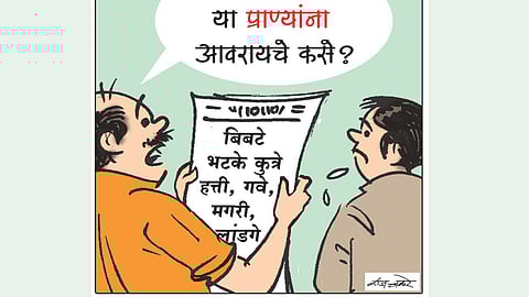 Animal Attacks Maharashtra