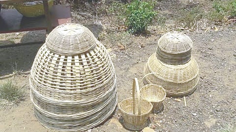 Bamboo product market decline