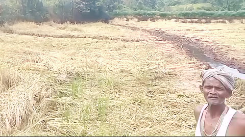 Crop damage heavy rains