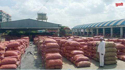 आळेफाटा उपबाजारात कांद्याची उच्चांकी आवक; भावात झाली घसरण