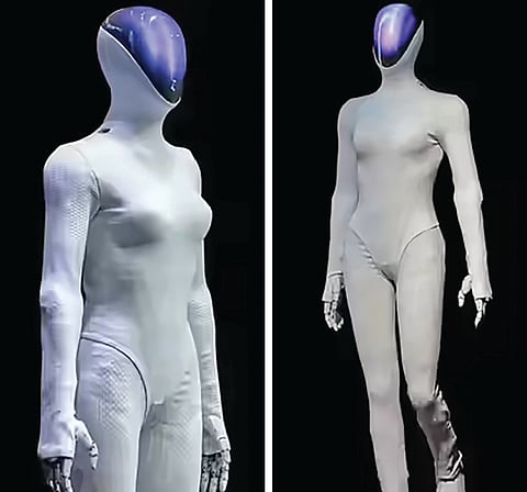 Chinese Humanoid Robot