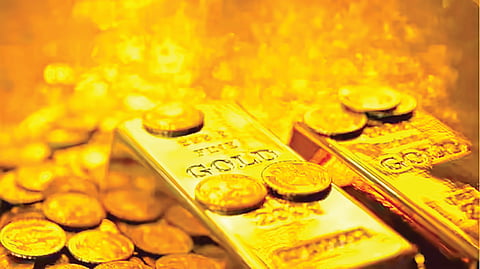 France Garden Treasure Found