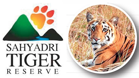 Sahyadri Tiger Reserve News