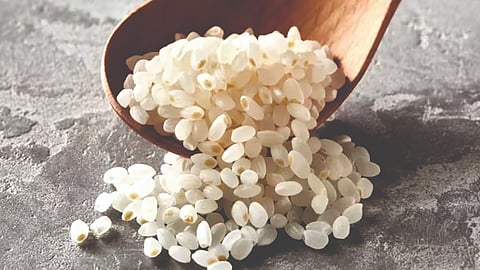 kinmemai premium rice