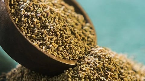 Ajwain Benefits: पचनाच्या समस्येवर ओवा ठरतो गुणकारी