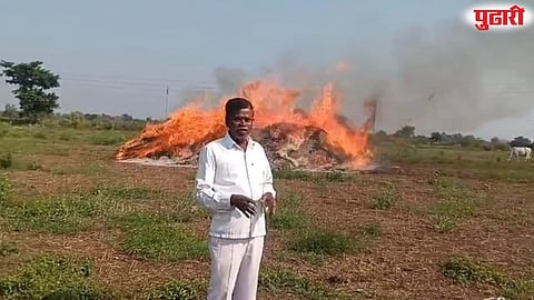 Korpana farmer burns soybean crop
