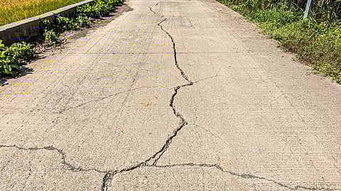 Wada Nagar Panchayat election