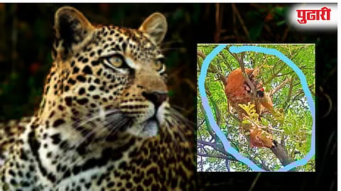 सिल्लोड (जालना)