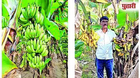 कळमनुरी ( नांदेड