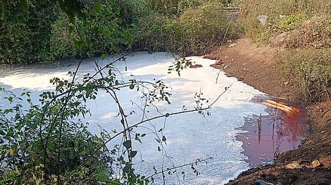 Adani Ventures oil pipeline leak