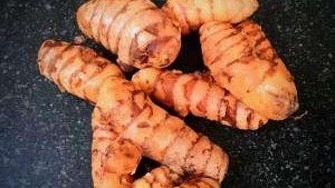 Fresh turmeric vegetable
