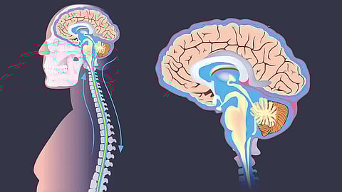 Brain Zone Out Tired