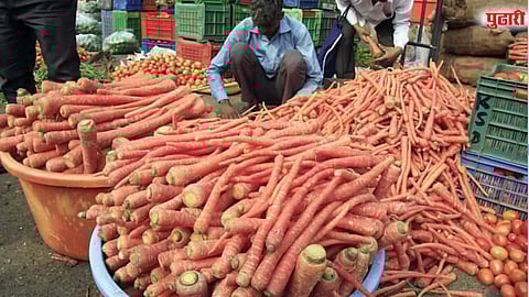 पुण्यात राजस्थानी गाजरांची मोठी आवक; भाज्यांच्या दरात वाढ