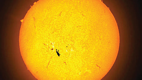 Amazing Skydiver Photo