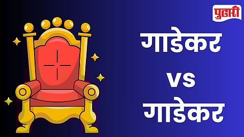 गाडेकर विरुद्ध गाडेकर