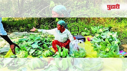 केज, (लातूर)