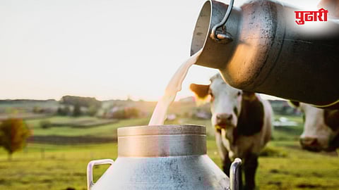 Kolhapur Dairy Farmers