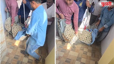 Bhandewadi leopard captured