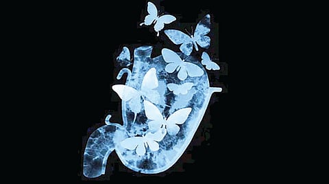 why-do-we-feel-butterflies-in-the-stomach