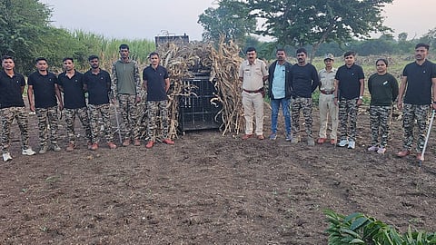 Leopard Attack: भाडणे–नांदवन रस्त्यावर बिबट्याचा दुचाकीस्वारावर हल्ला; एक जखमी