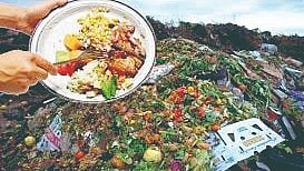 15 to 20 tons food waste