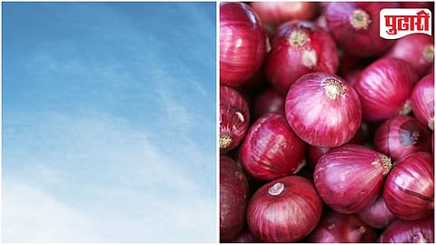 Onion Farmer Concerns