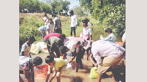Water Conservation Structures