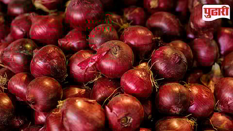 Onion Price