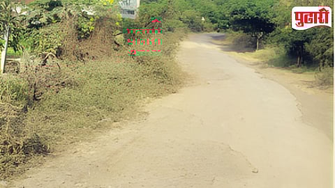 Road Condition