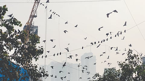 AQI monitoring Mumbai