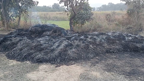 Karjat paddy stack fire