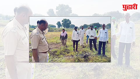 Mandave Solar Project Tree Cutting