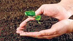 soil-sample-collection-in-300-villages-initiative-by-guardian-minister