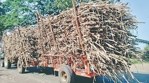 Sugarcane Transport