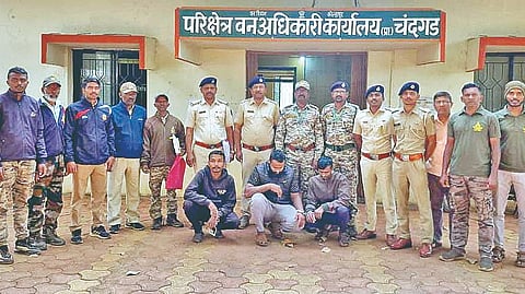 salinder hunting case